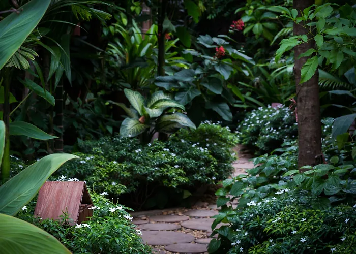 Malu Khmer Hotel 4*